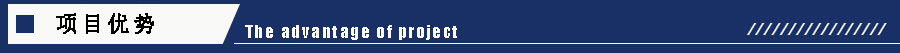 1605170470199541.jpg 項(xiàng)目?jī)?yōu)勢(shì).jpg